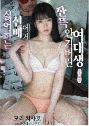 圈套系列观看顺序时间线示意